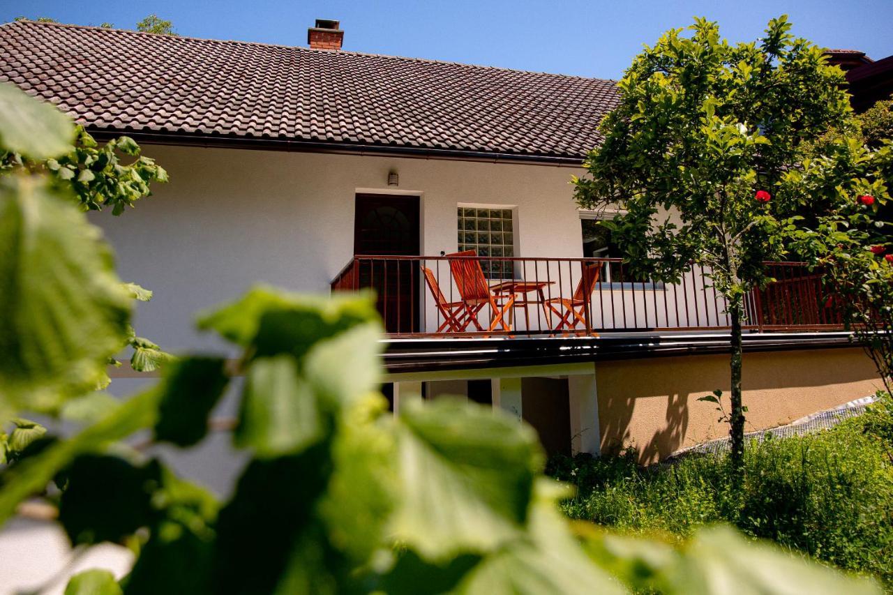 Elegant House In A Beautiful Village Cerklje ob Krki Extérieur photo